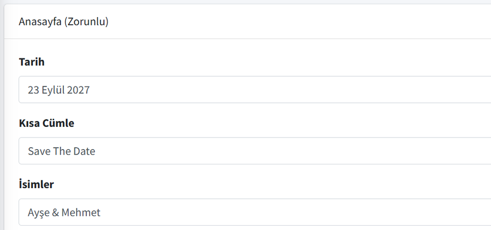 Davetiye Formu - Anasayfa Bilgileri